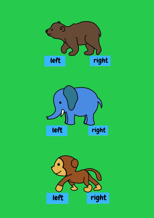 A pack of three education shoe stickers by Animal Pairs in Zoo Designs that are labelled left and right.  Bear, elephant and monkey designs.