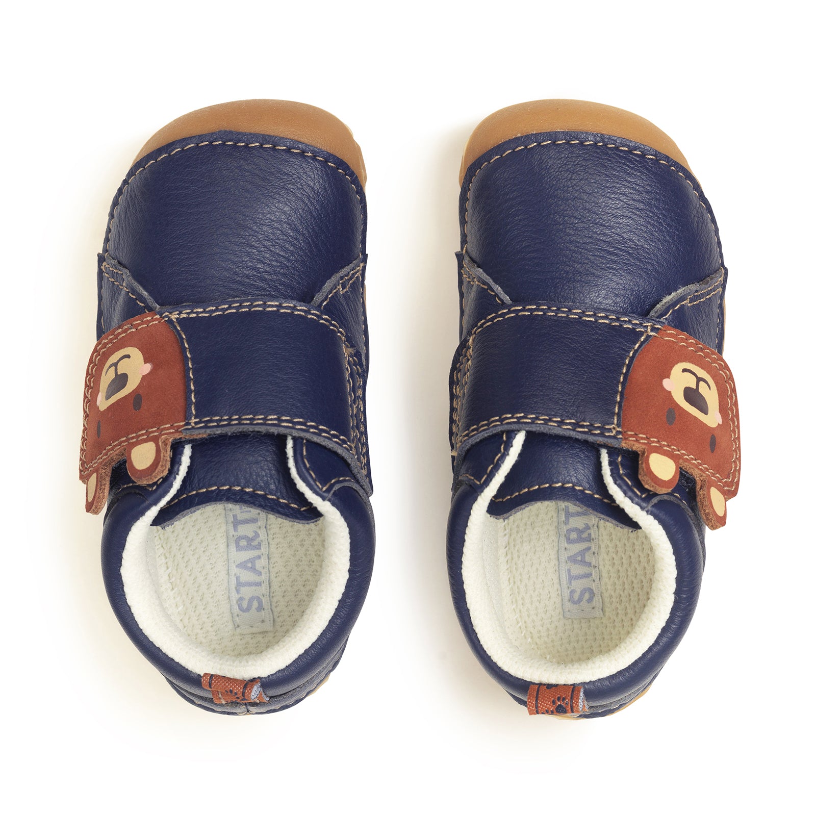 A pair ofnboy's pre-walkers by Start Rite, style Bear Hug,in navy leather with brown paw print detail to side and brown bears face on velcro fastening. Toe bumper. View from above.
