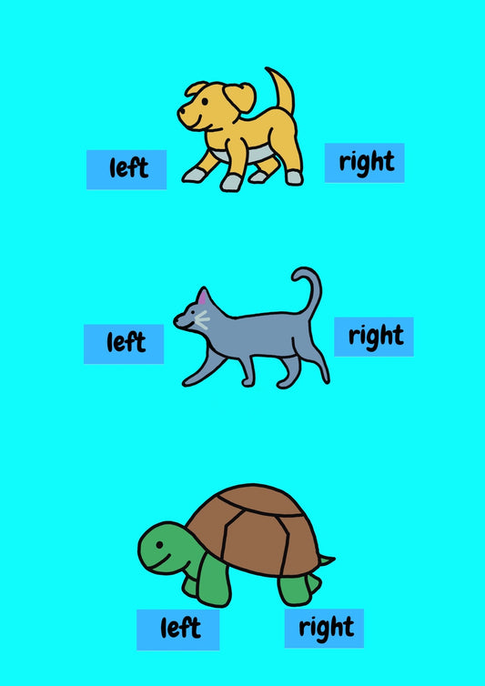 A pack of three education shoe stickers by Animal Pairs in Pet Designs, with dog, cat and tortoise stickers that are labelled left and right. Front view.