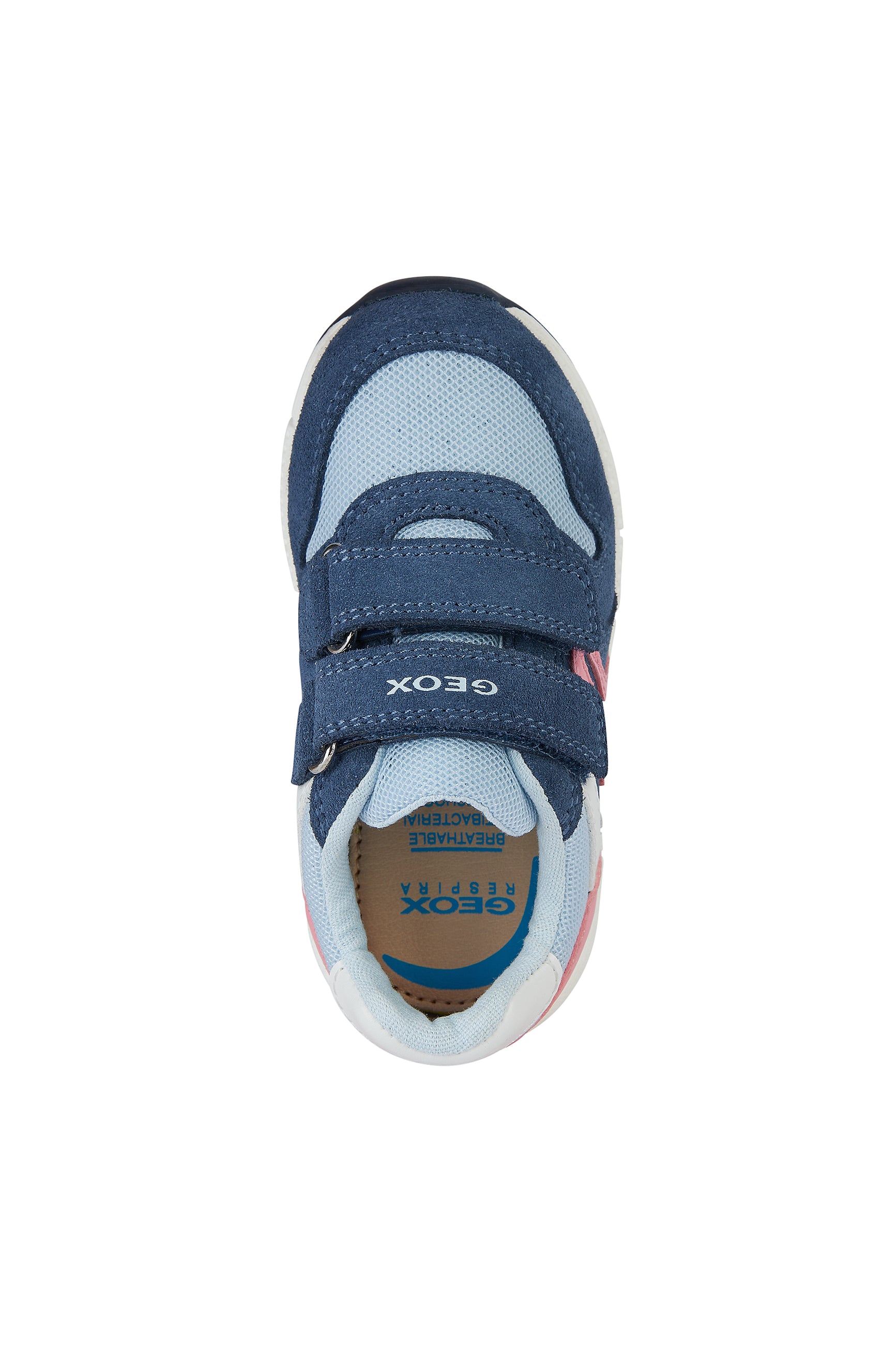 A girls trainer by Geox, style B Alben, in blue, pink and white with double velcro fastening. View from above.