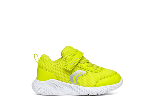 A unisex trainer by Geox, style B Sprintye, in fluorescent green with bungee lace and velcro fastening. Right side view.