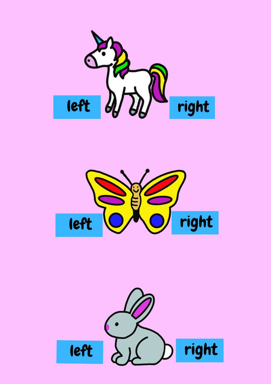 A pack of three educational shoe stickers by Animal Pairs in Pretty Designs, with butterfly, unicorn and bunny stickers that are labelled left and right. Front view