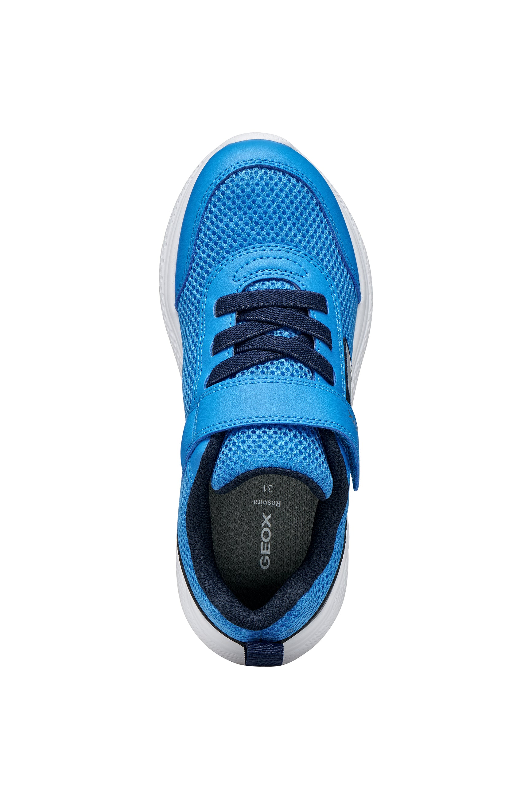 A boys trainer by Geox, style Sprintye in blue/navy with velcro strap and elastic laces and grey detail on side. Top view