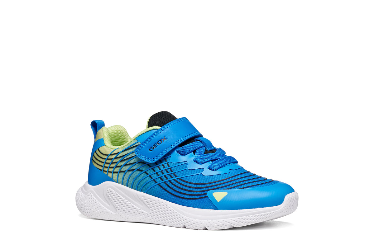 Geox boy's trainer in the style Sprintye Boy in blue and white with a Velcro strap, black detailing and white sole. Right side view. 