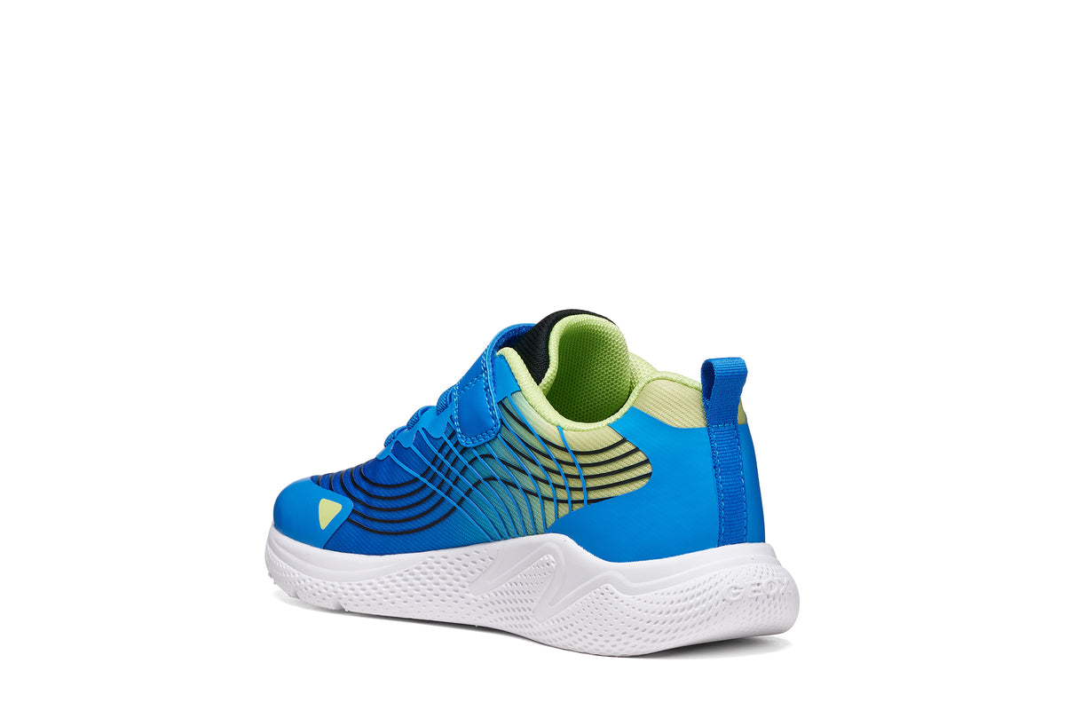 Geox boy's trainer in the style Sprintye Boy in blue and white with a Velcro strap, black detailing and white sole. Angled back view of right shoe.