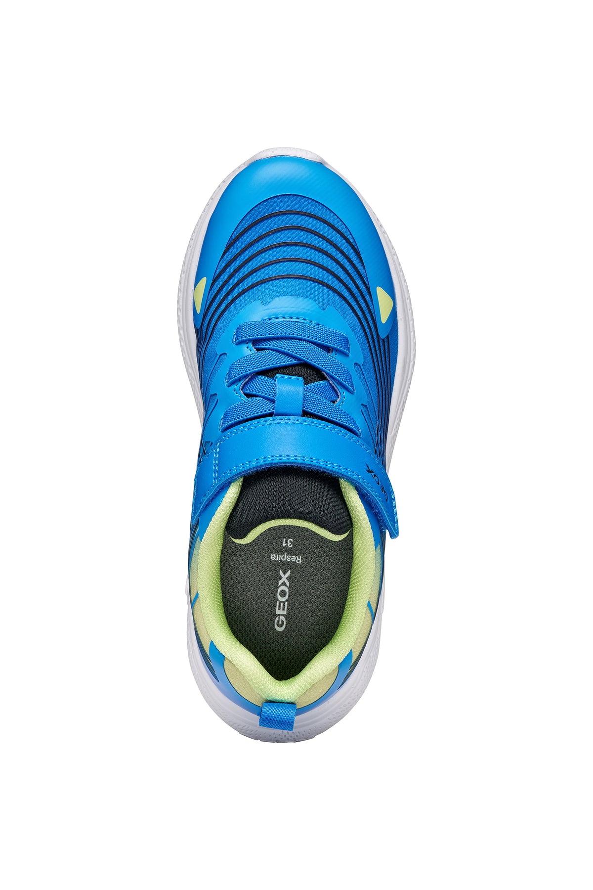 Geox boy's trainer in the style Sprintye Boy in blue and white with a Velcro strap, black detailing and white sole. Top view