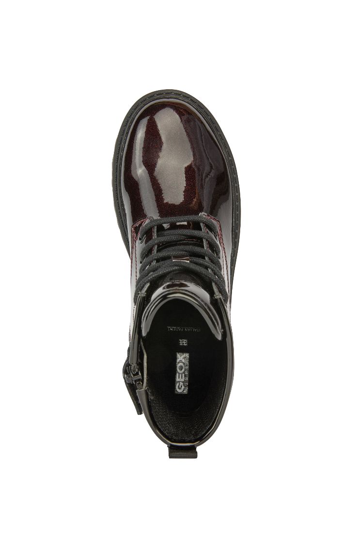 An ankle boot by Geox, style Casey G, in burgundy/black, with star detail on back and black laces. Above view.