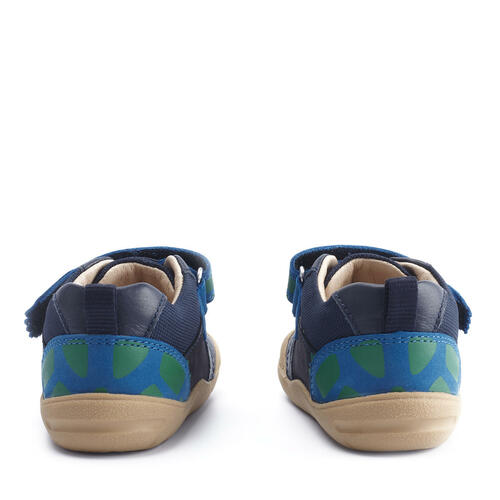 A boys casual shoe by Start Rite and JoJo Maman Bebé collaboration,style Companion,in Navy multi with dinosaur velcro fastening. Back view.