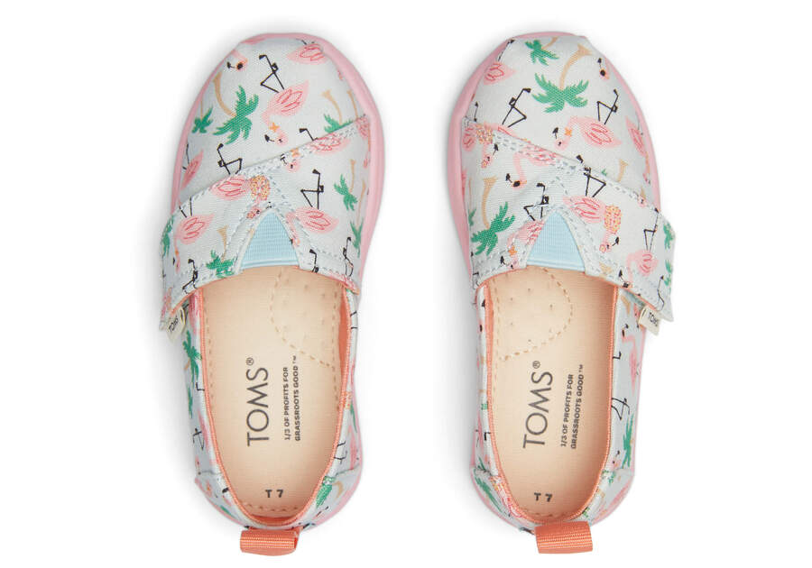 Toms pink flamingo shop shoes