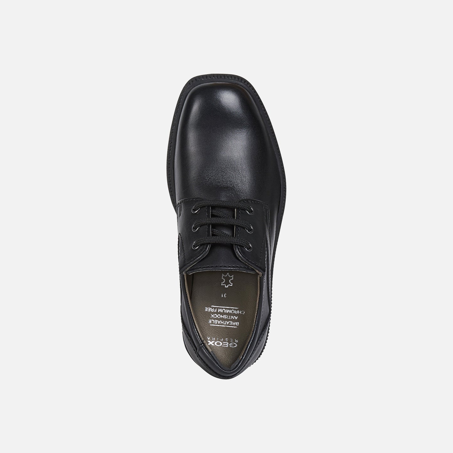 A boys smart school shoe by Geox,style J Federico, in black with lace fastening. Above view.