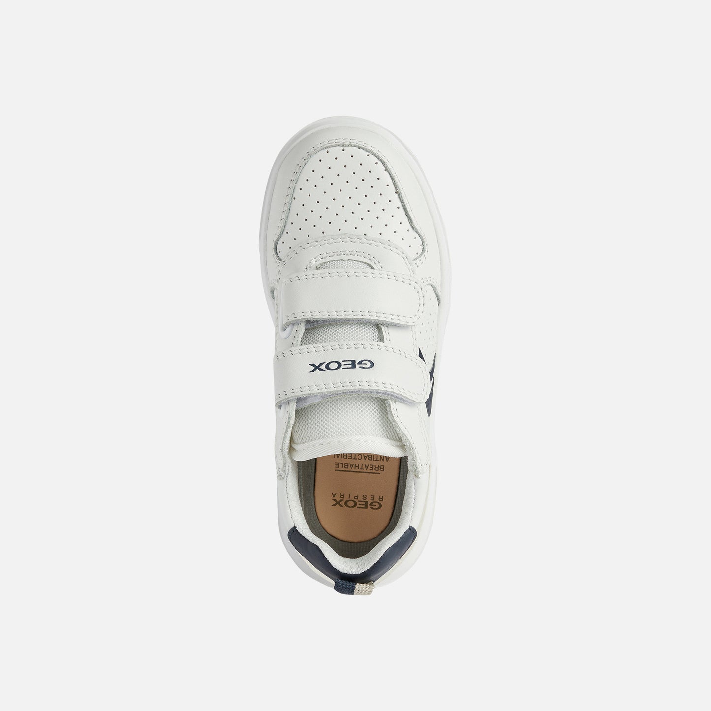 A casual boys trainer by Geox, style Nettuno, in white and navy with double velcro fastening. Above  view.