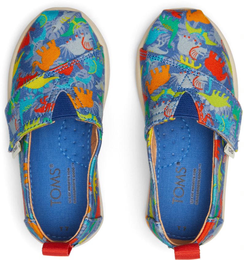 A boys canvas shoe by Toms, style Alpargata Dinos, in dinosaur print with velcro fastening. Top view.